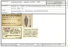 Karteikarte zum Lectotyp von Frondicularia amoena Karrer, 1870